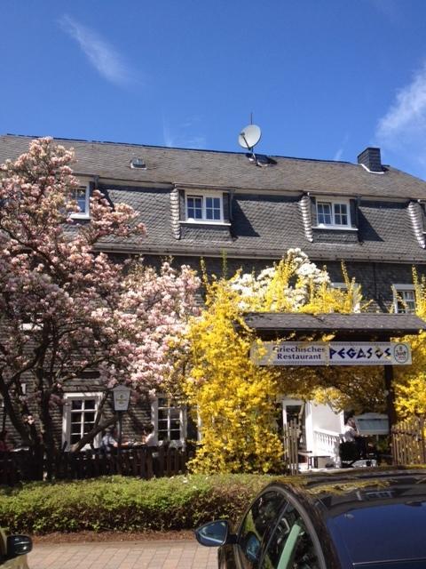 Hotel Friedrich 3*